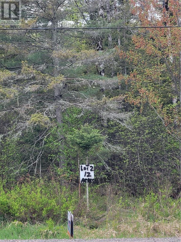 LOT 2 HWY 535