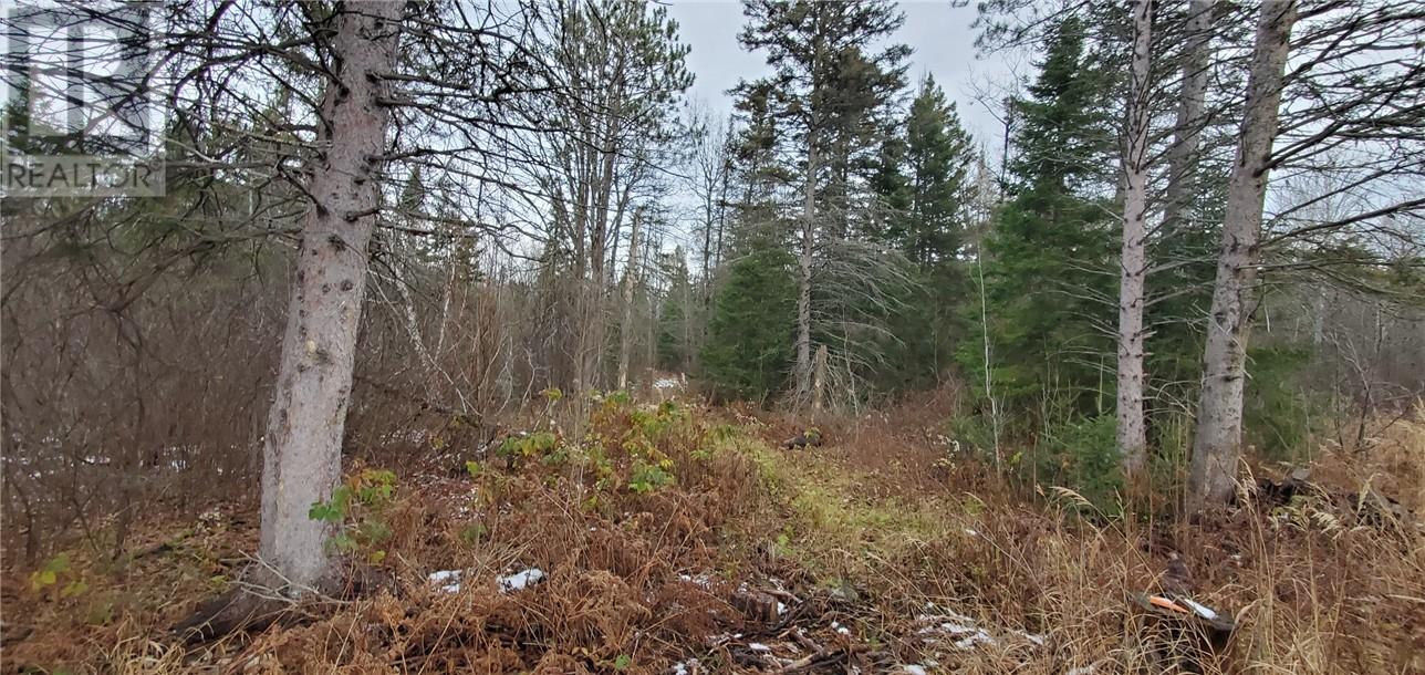 2245 Wolseley Bay Road