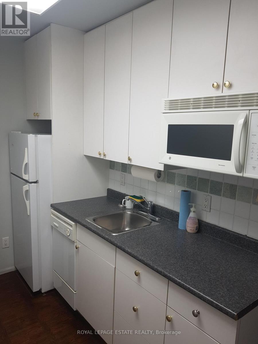 LOWER LEVEL – 238 GERRARD STREET E