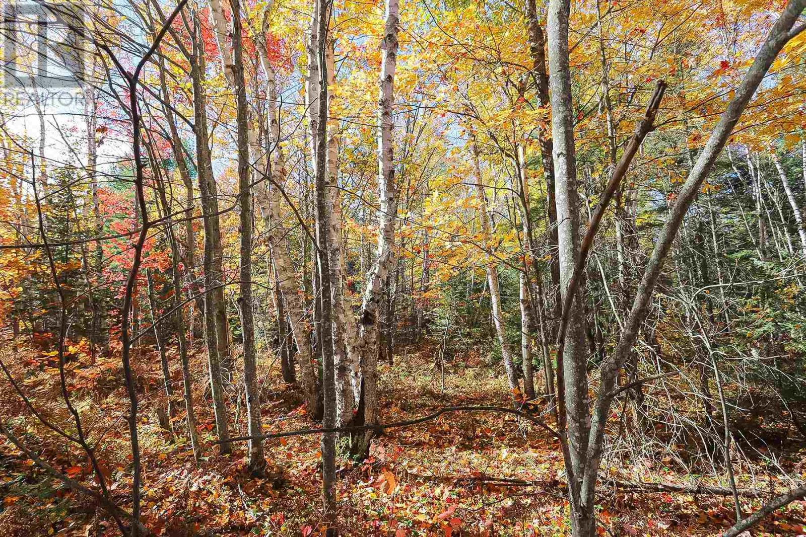 Lot 19 Nokomis Beach RD