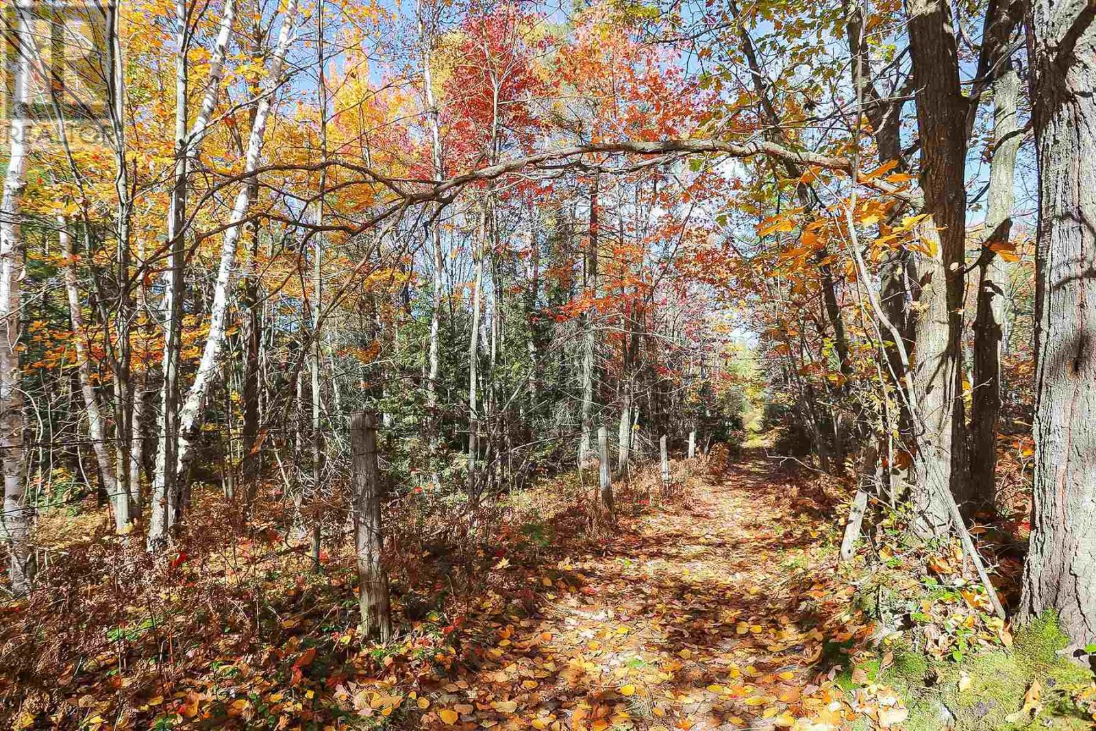 Lot 19 Nokomis Beach RD