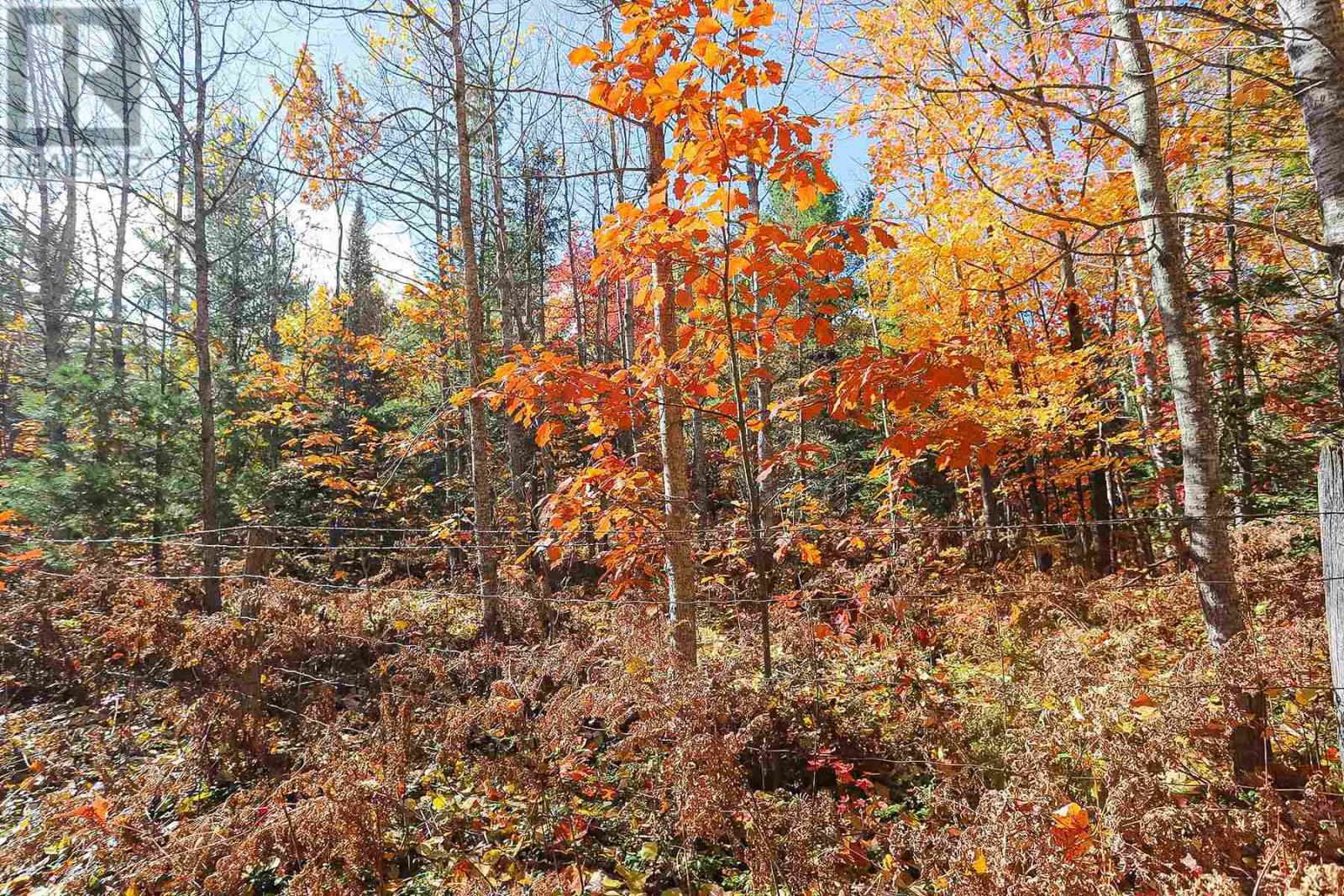 Lot 19 Nokomis Beach RD