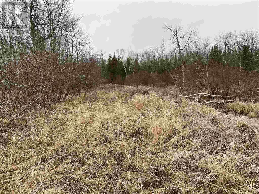 Lot 2 & 3 con Nelson DR