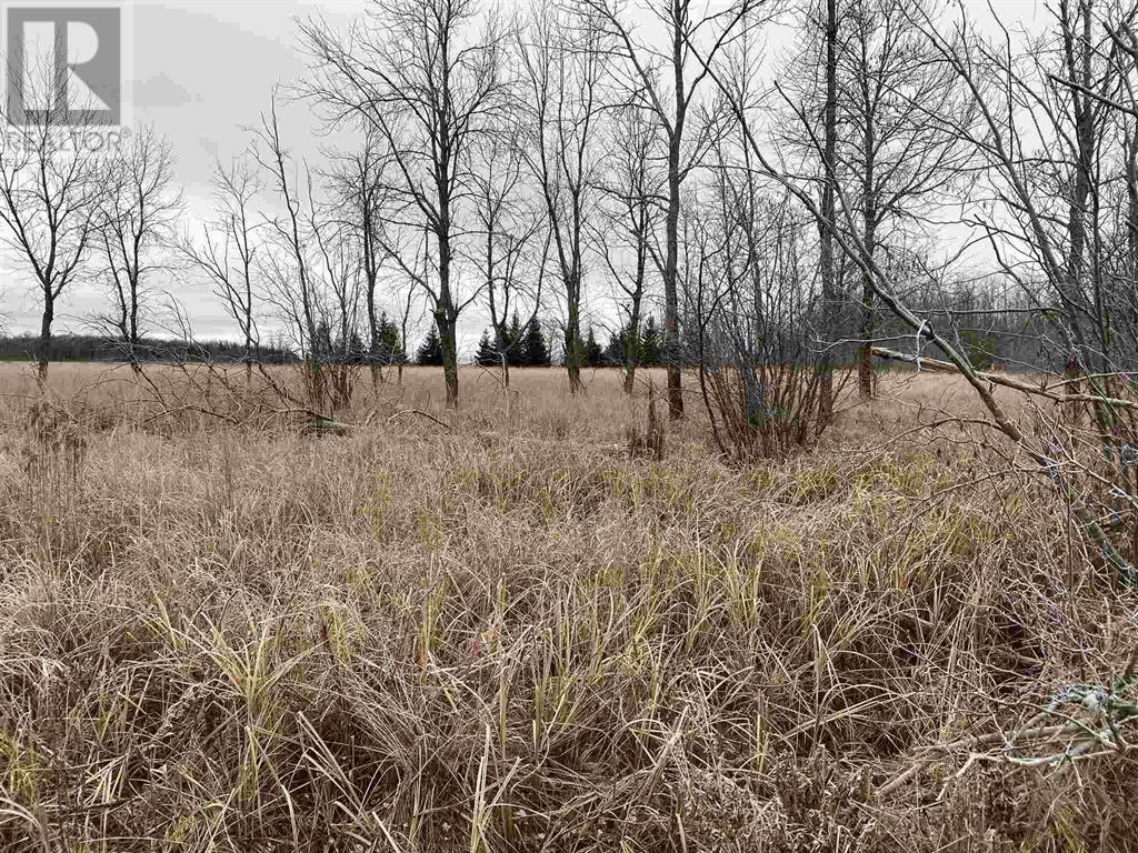 Lot 2 & 3 con Nelson DR