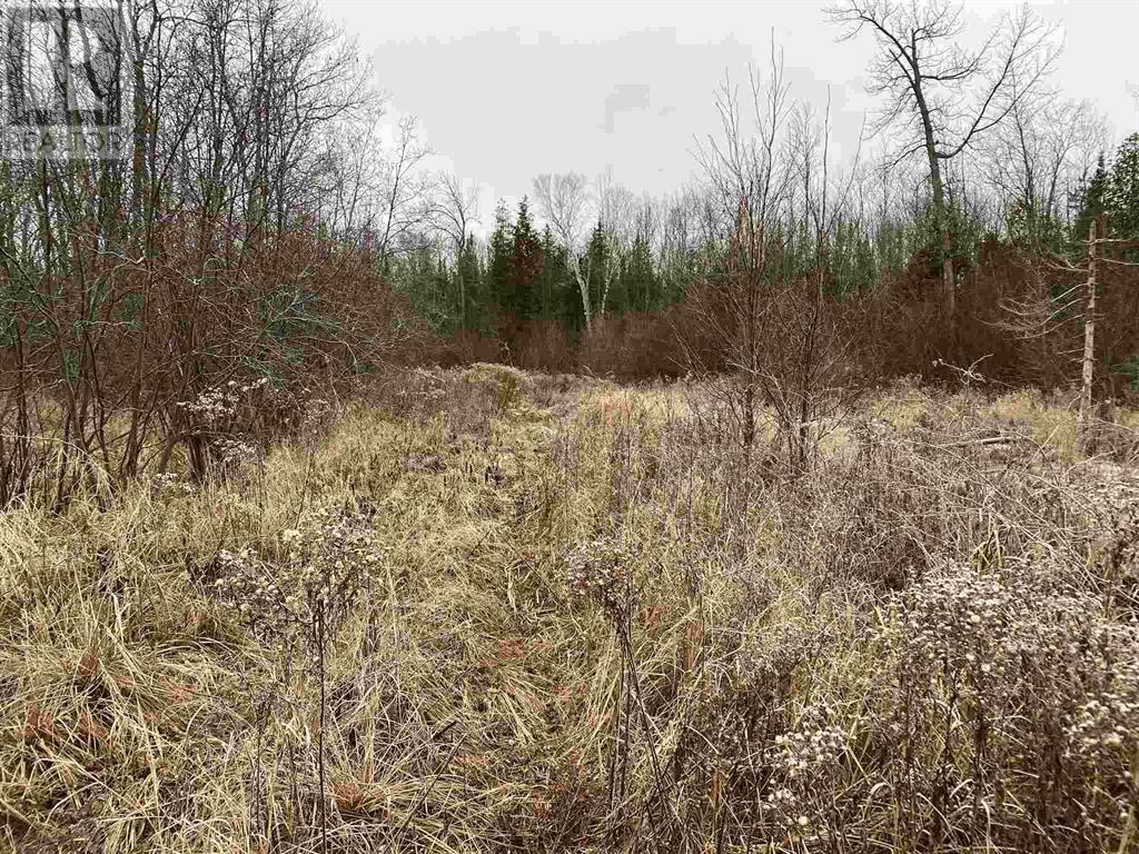 Lot 2 & 3 con Nelson DR