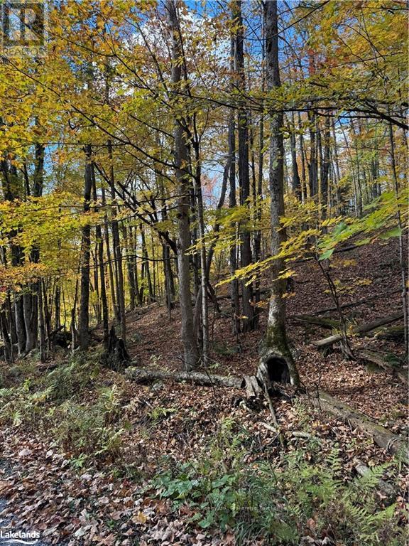 353C BALSAM CREEK ROAD