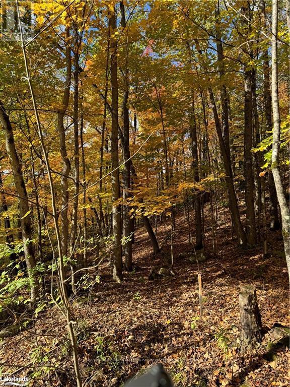 353C BALSAM CREEK ROAD