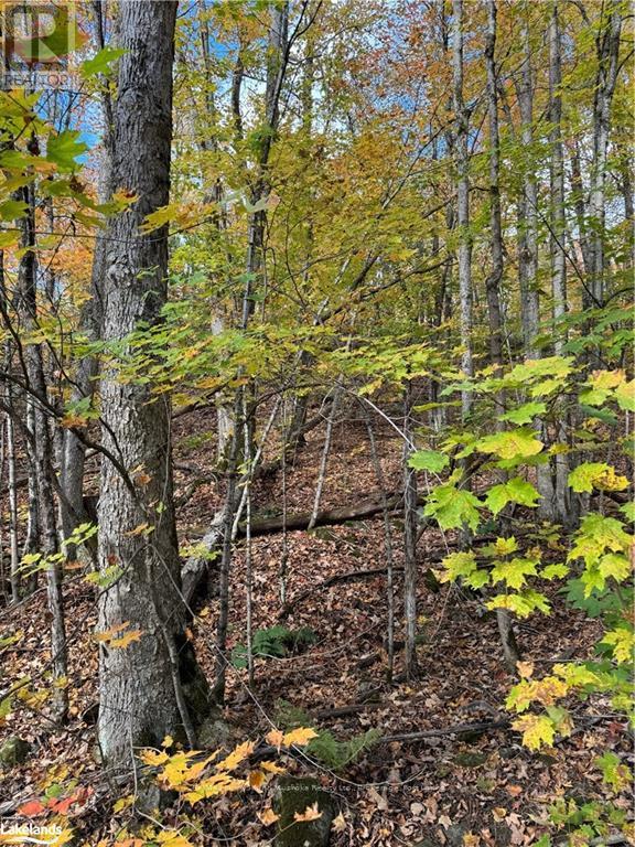 353C BALSAM CREEK ROAD