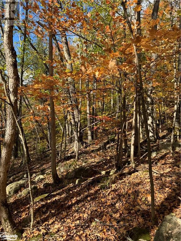 353C BALSAM CREEK ROAD