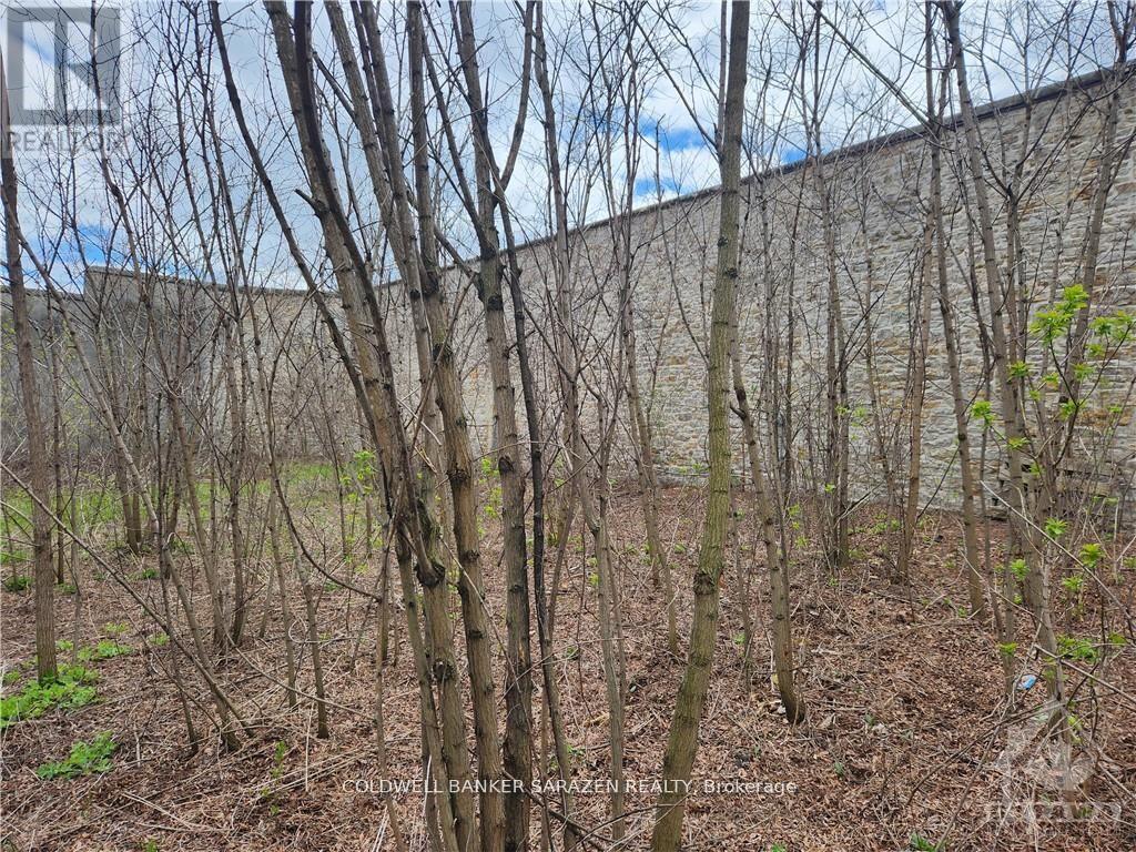 62 BECKWITH STREET E