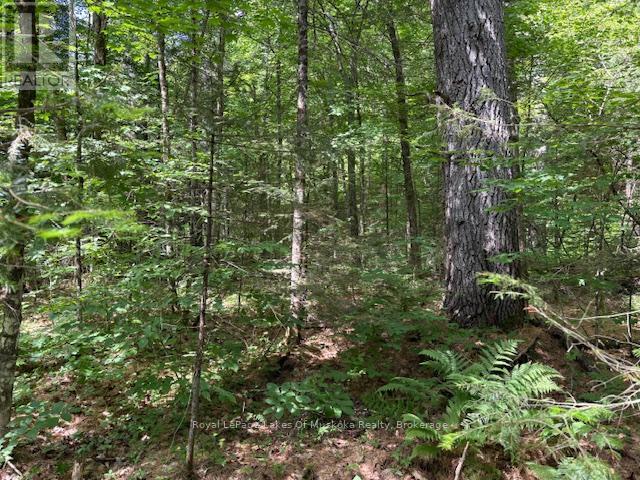 0 FOREST LAKE ROAD