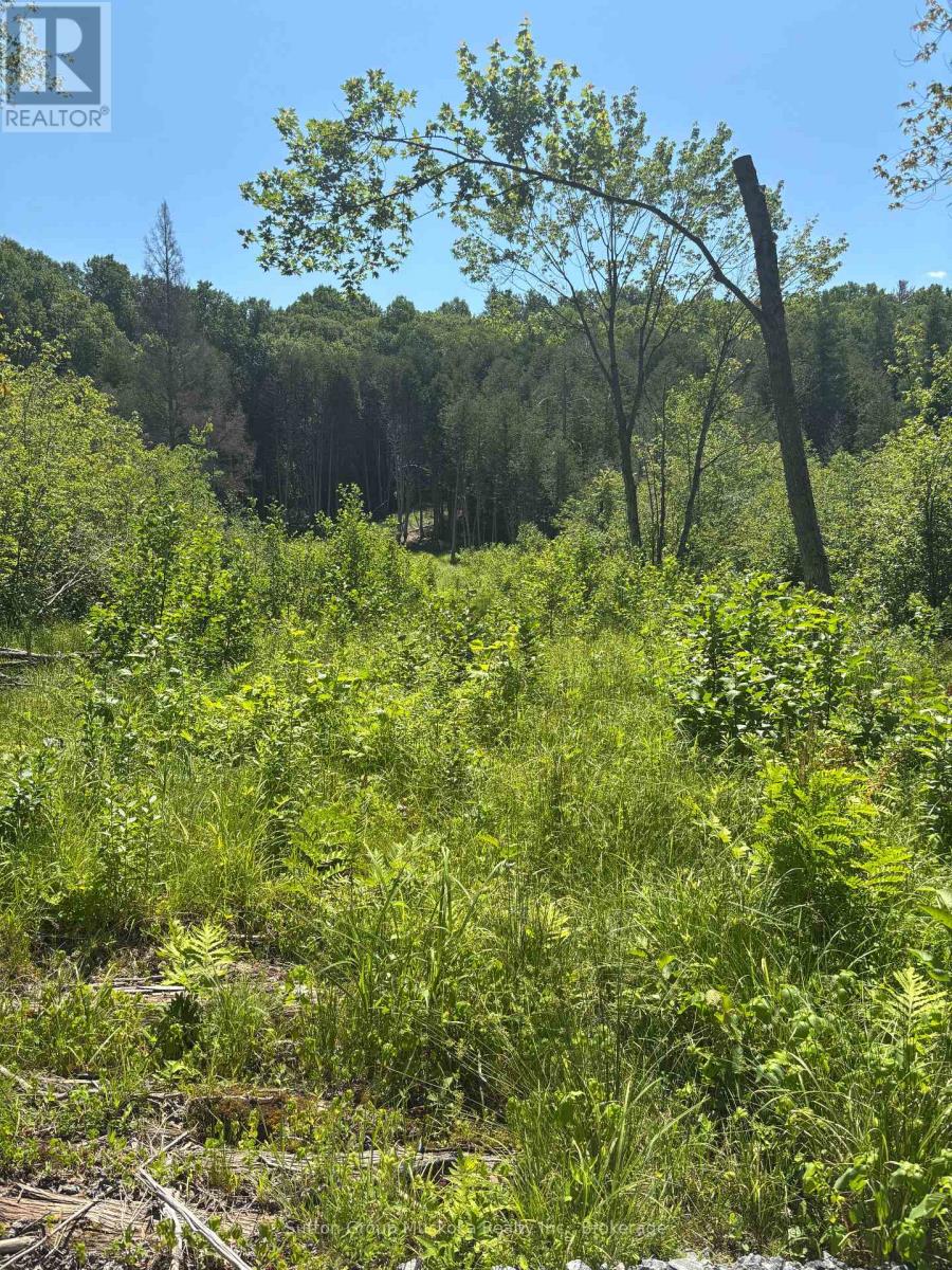 0 ROSSEAU LAKE RD. 1 ROAD