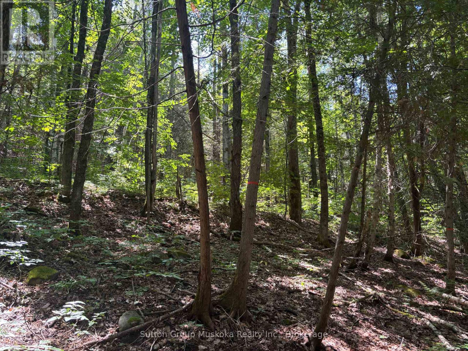 0 ROSSEAU LAKE RD. 1 ROAD
