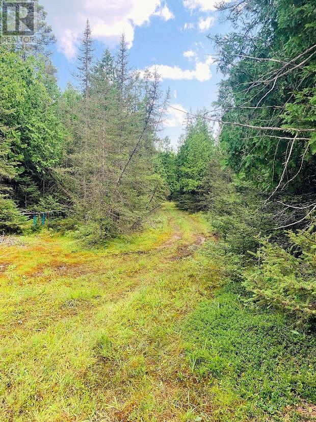 PL14C11 Mills Watts Lake Road