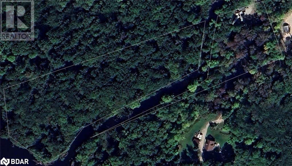 7012 COUNTY ROAD 169