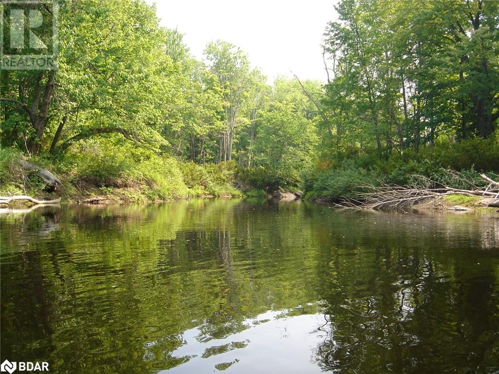 7012 COUNTY ROAD 169