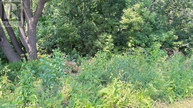 15 ROBINSON Street N