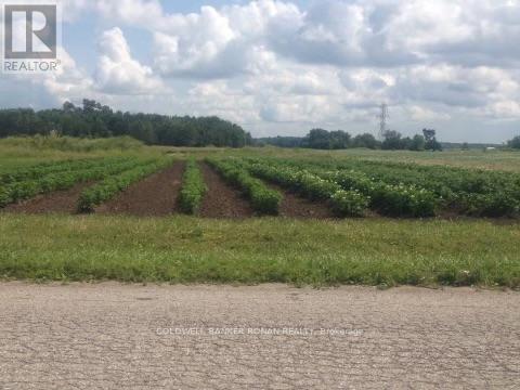 5525 CONCESSION RD 4