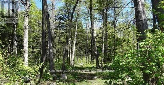 95 NIPPISSING RIDGE ROAD