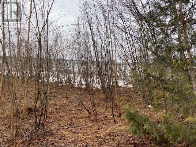 1601 Mississaugi Bay RD