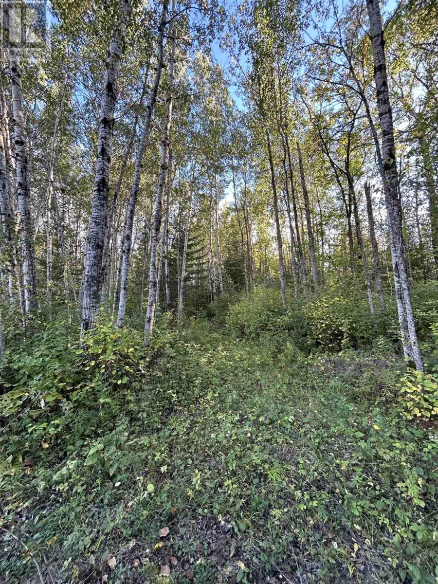 PCL 14215 Alberton Township