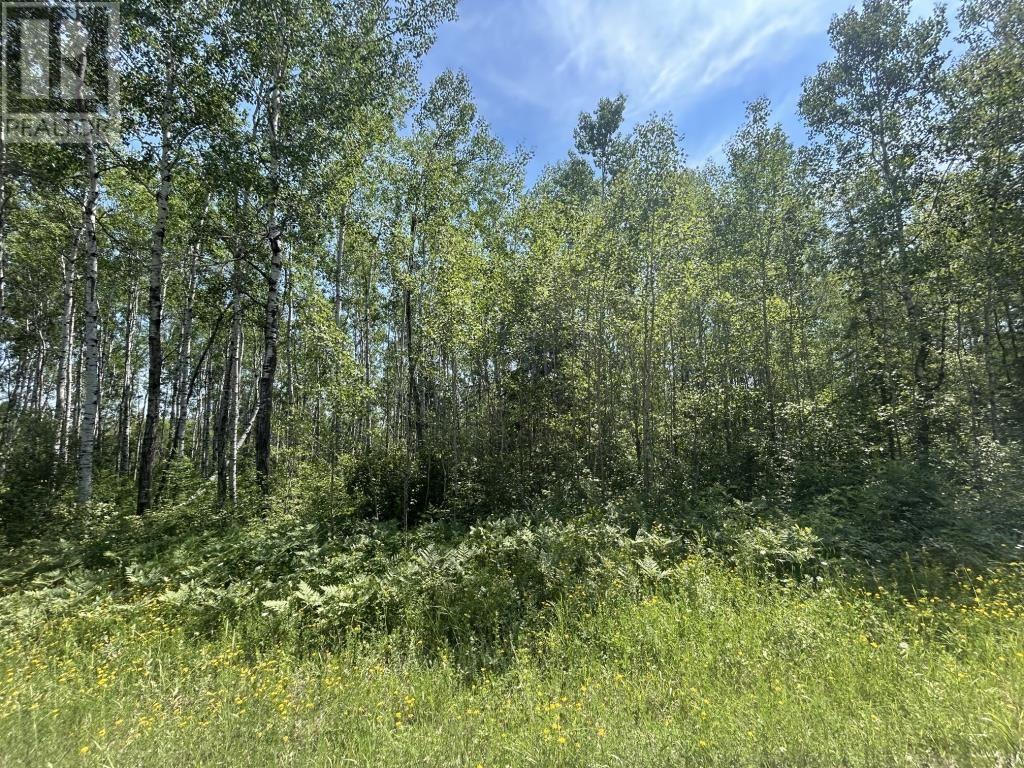 Parcel 19523 Barnhardt Road