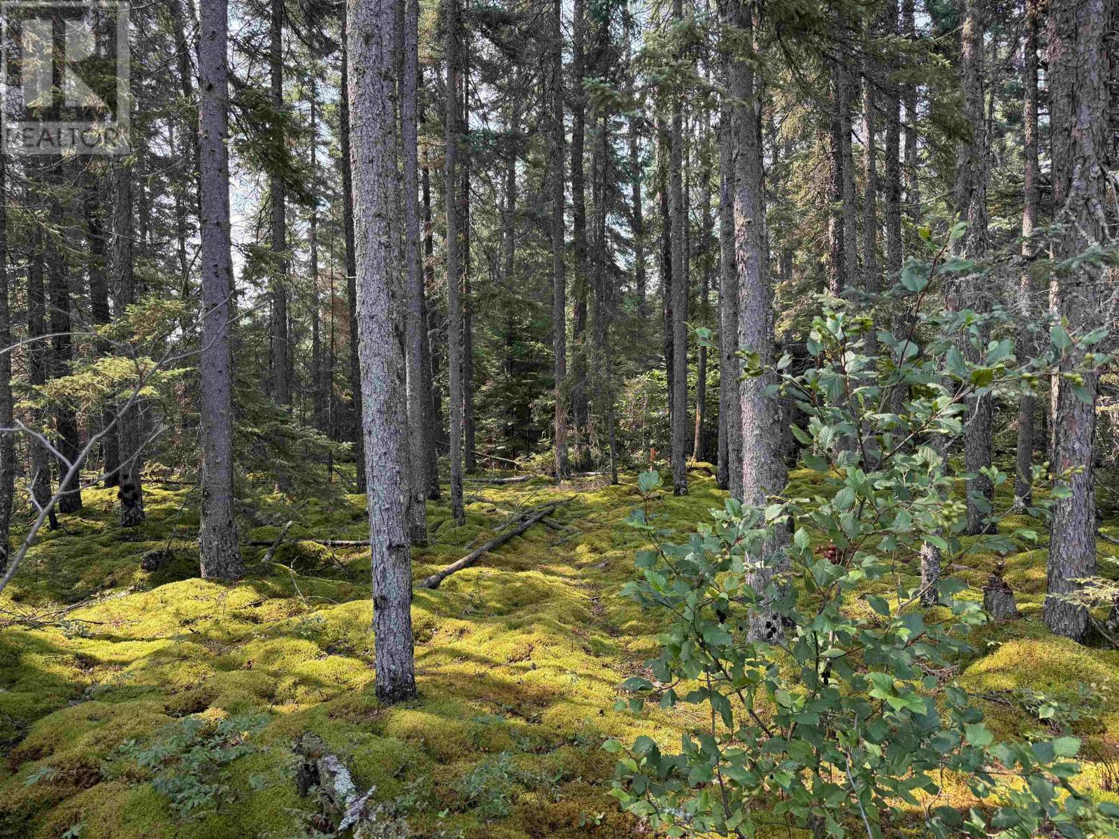 LOT 1 Kinger Road