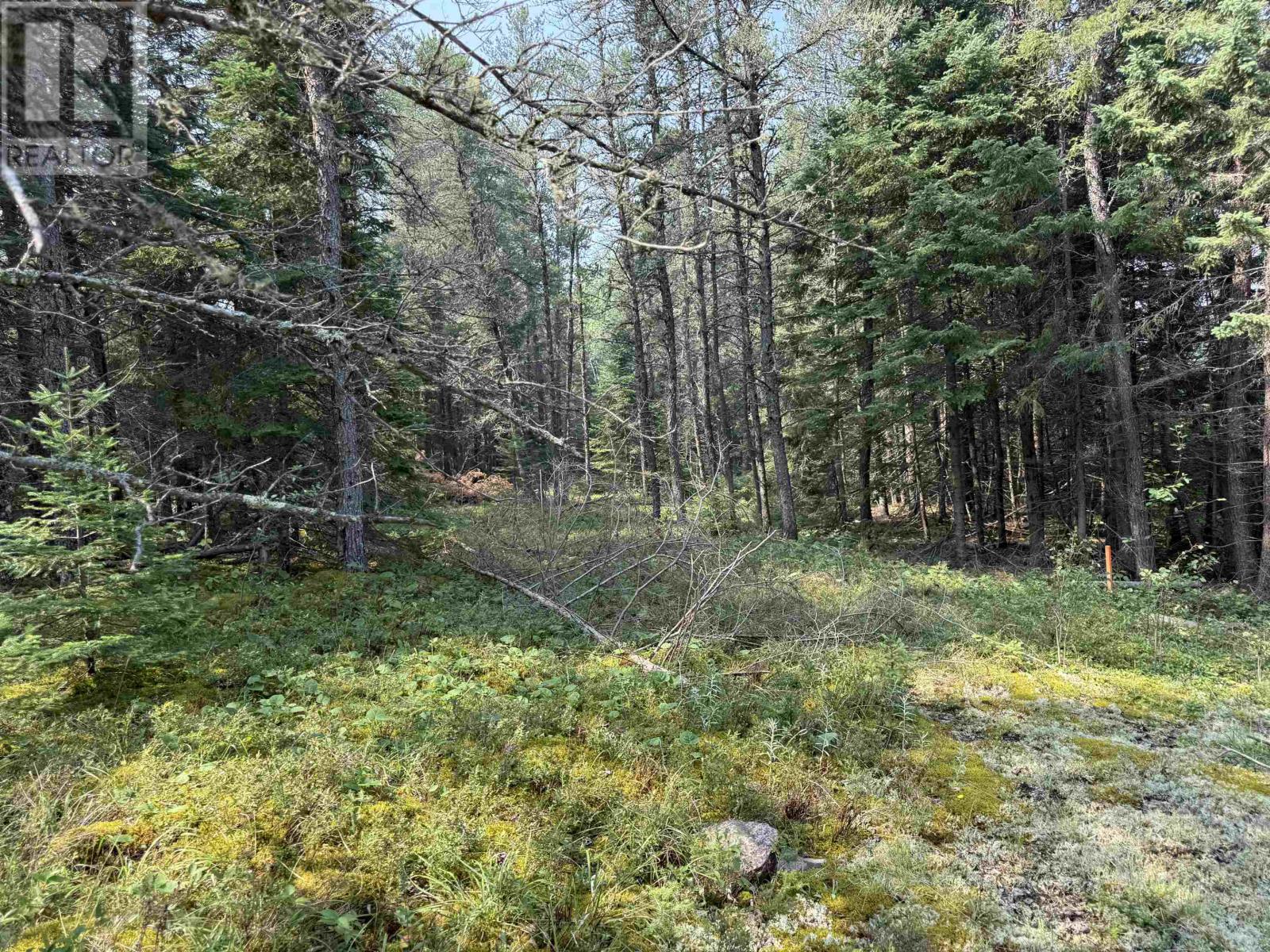 LOT 2 Kinger Road
