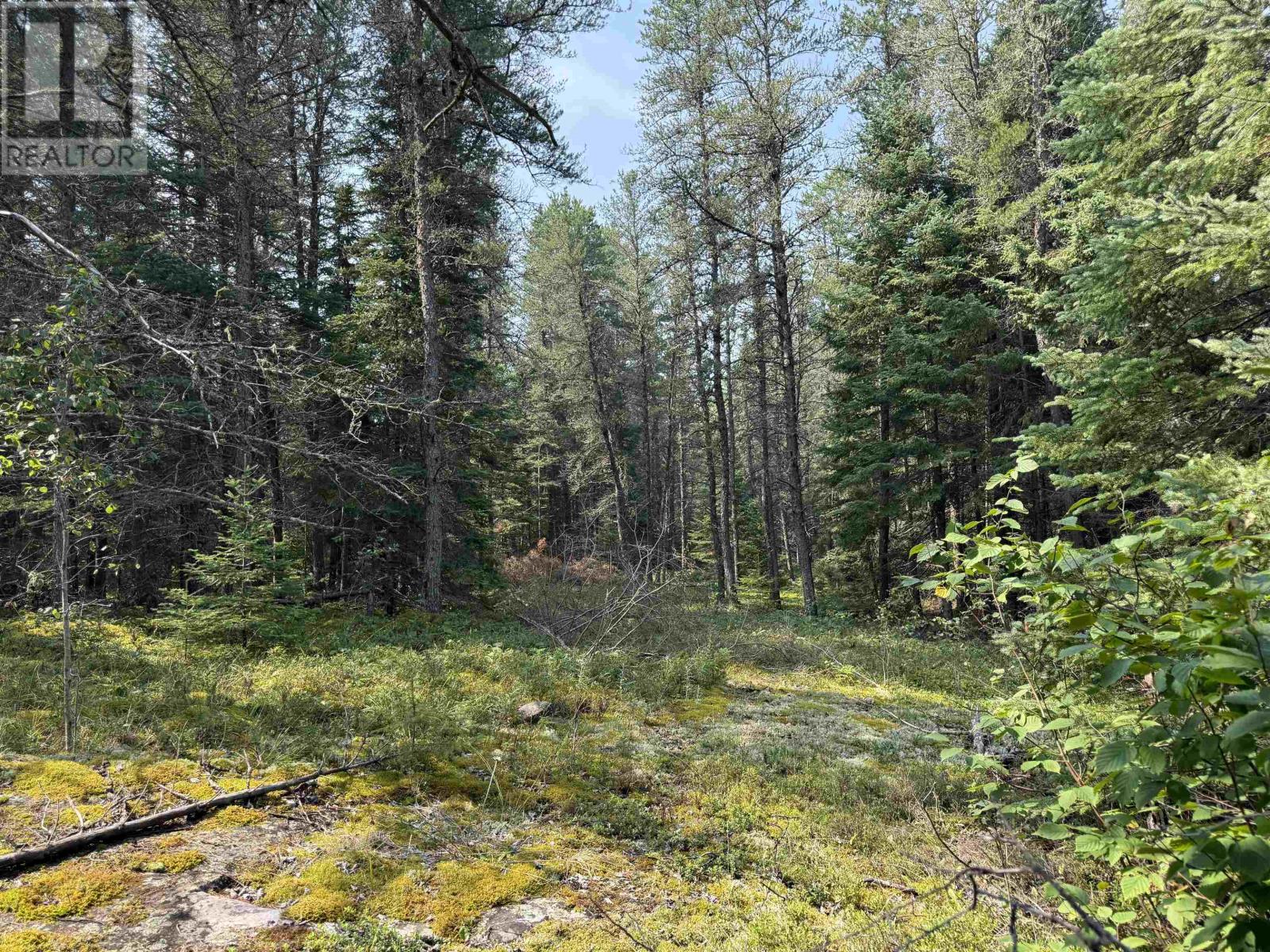LOT 2 Kinger Road
