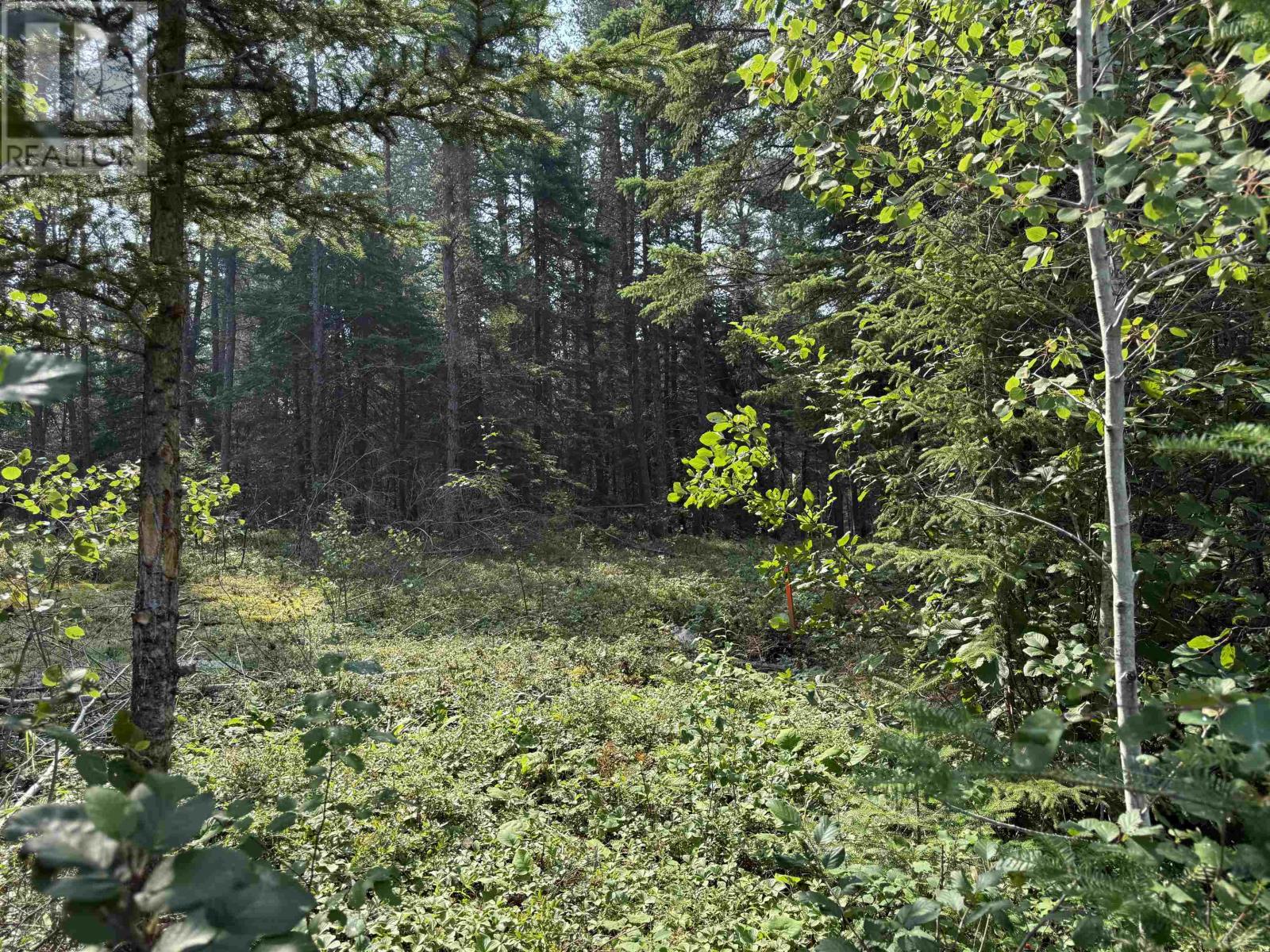 LOT 2 Kinger Road