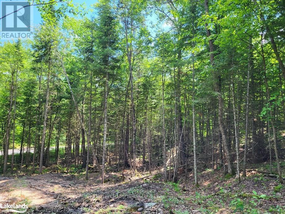 LOT 5 FAIRY FALLS ROAD