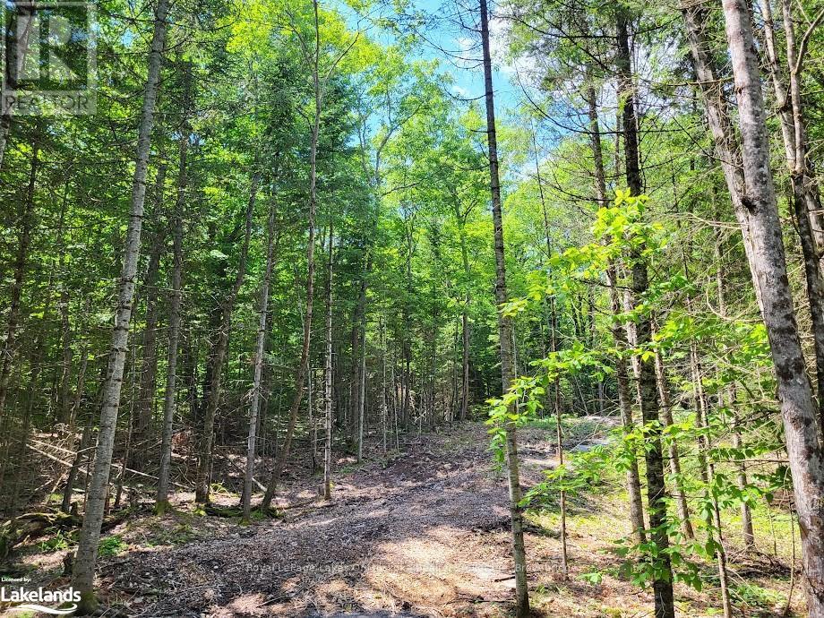 LOT 5 FAIRY FALLS ROAD