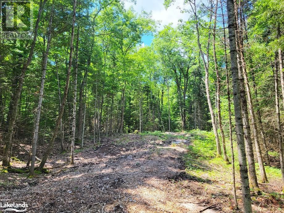 LOT 5 FAIRY FALLS ROAD