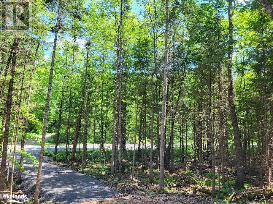 LOT 5 FAIRY FALLS ROAD