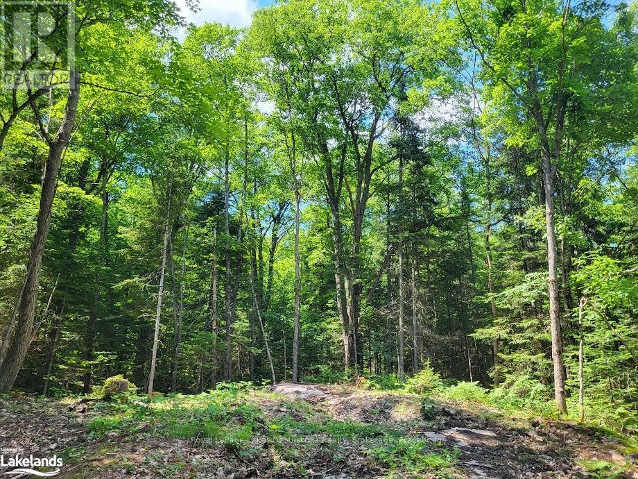 LOT 5 FAIRY FALLS ROAD