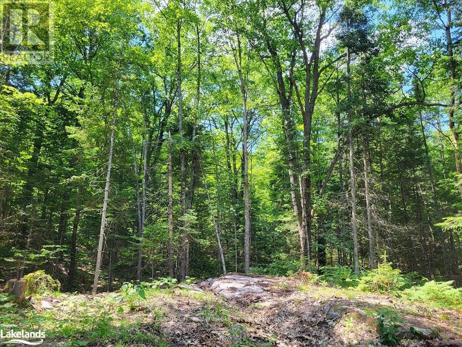 LOT 5 FAIRY FALLS ROAD