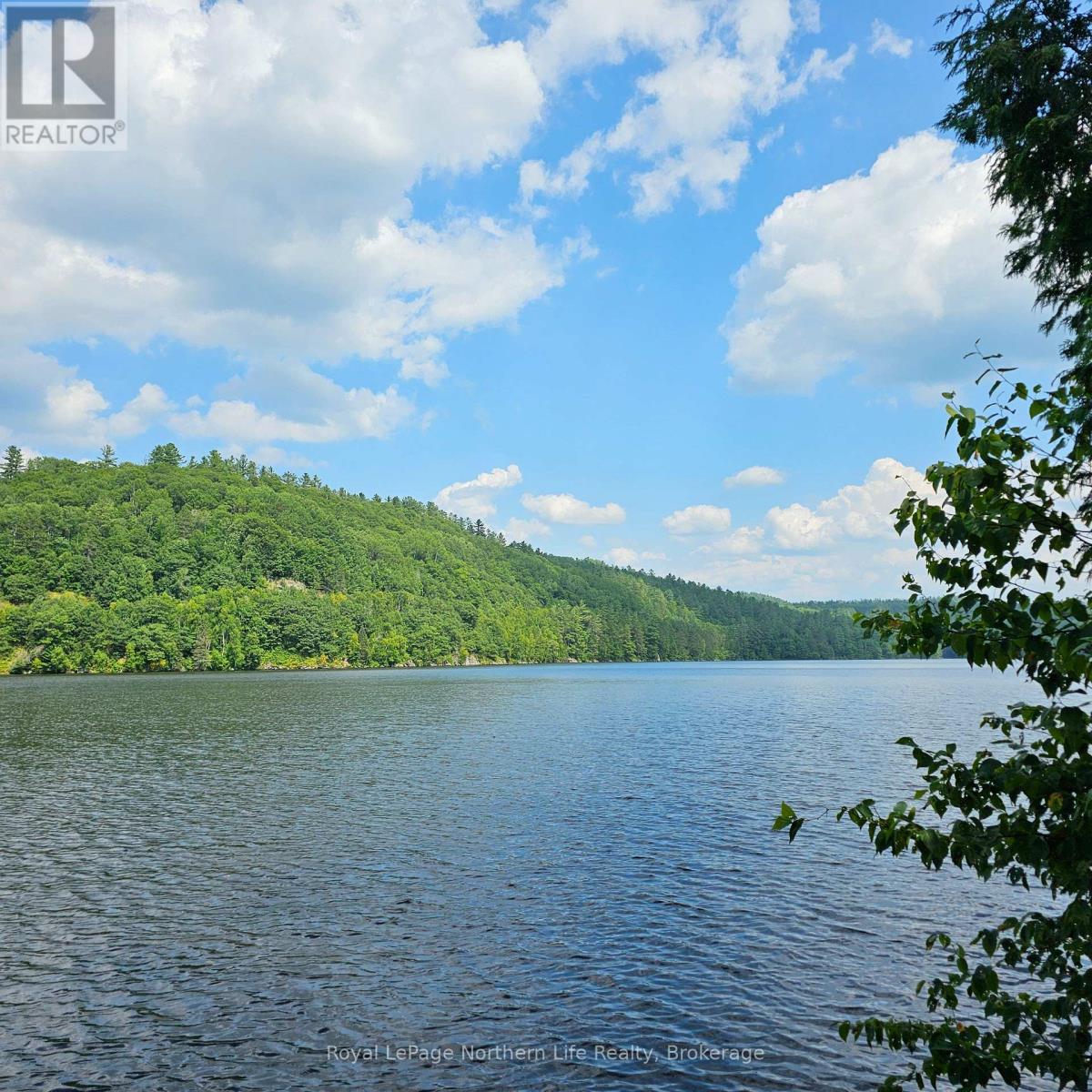 1261 SNAKE CREEK ROAD