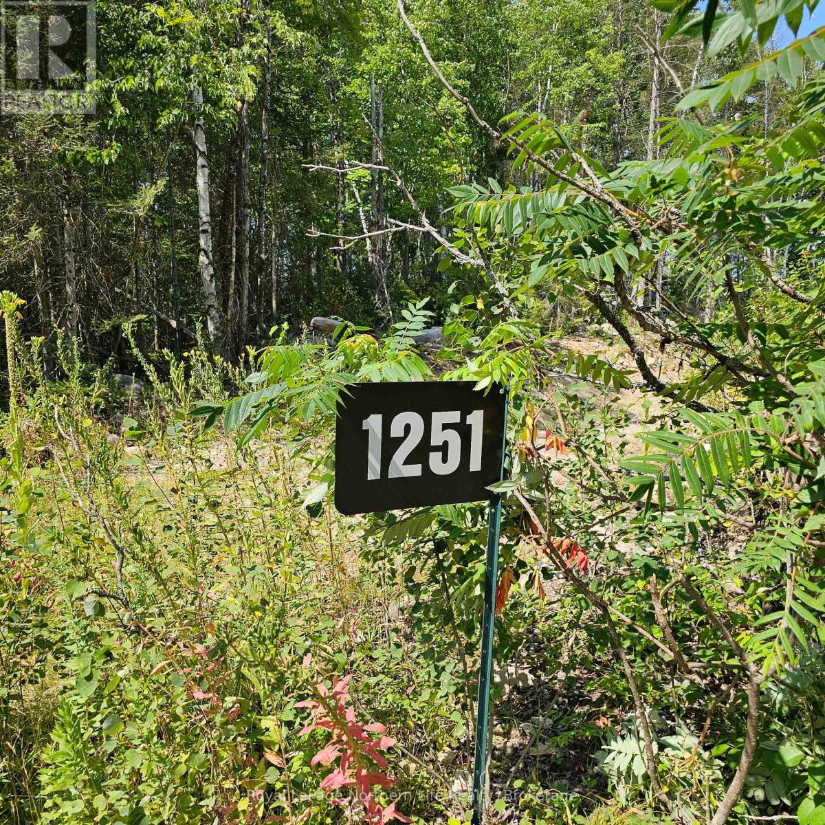 1251 SNAKE CREEK ROAD