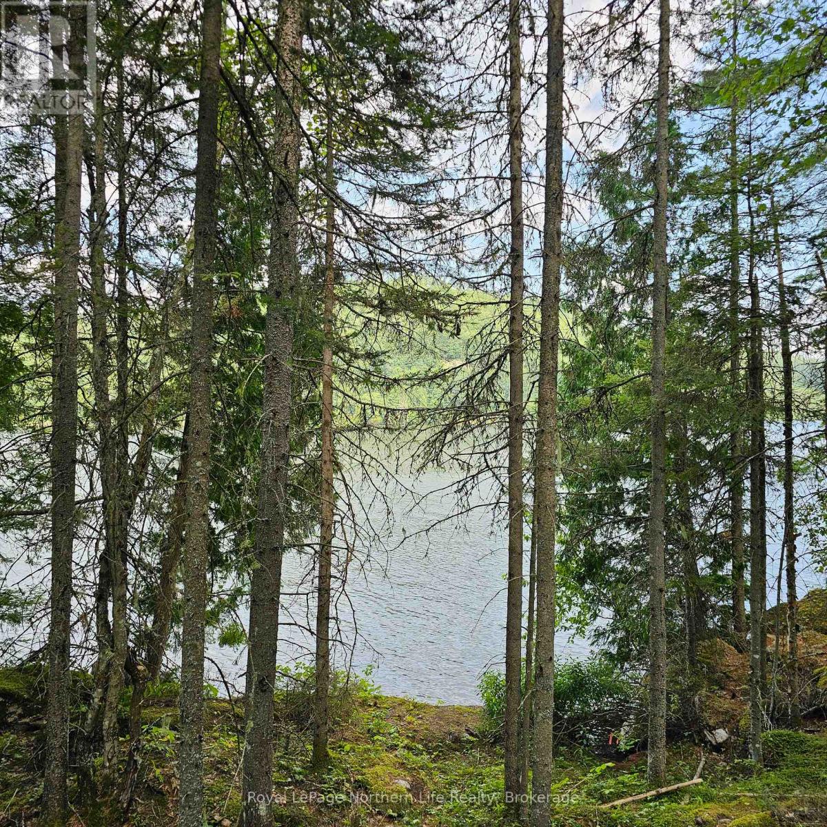 1251 SNAKE CREEK ROAD