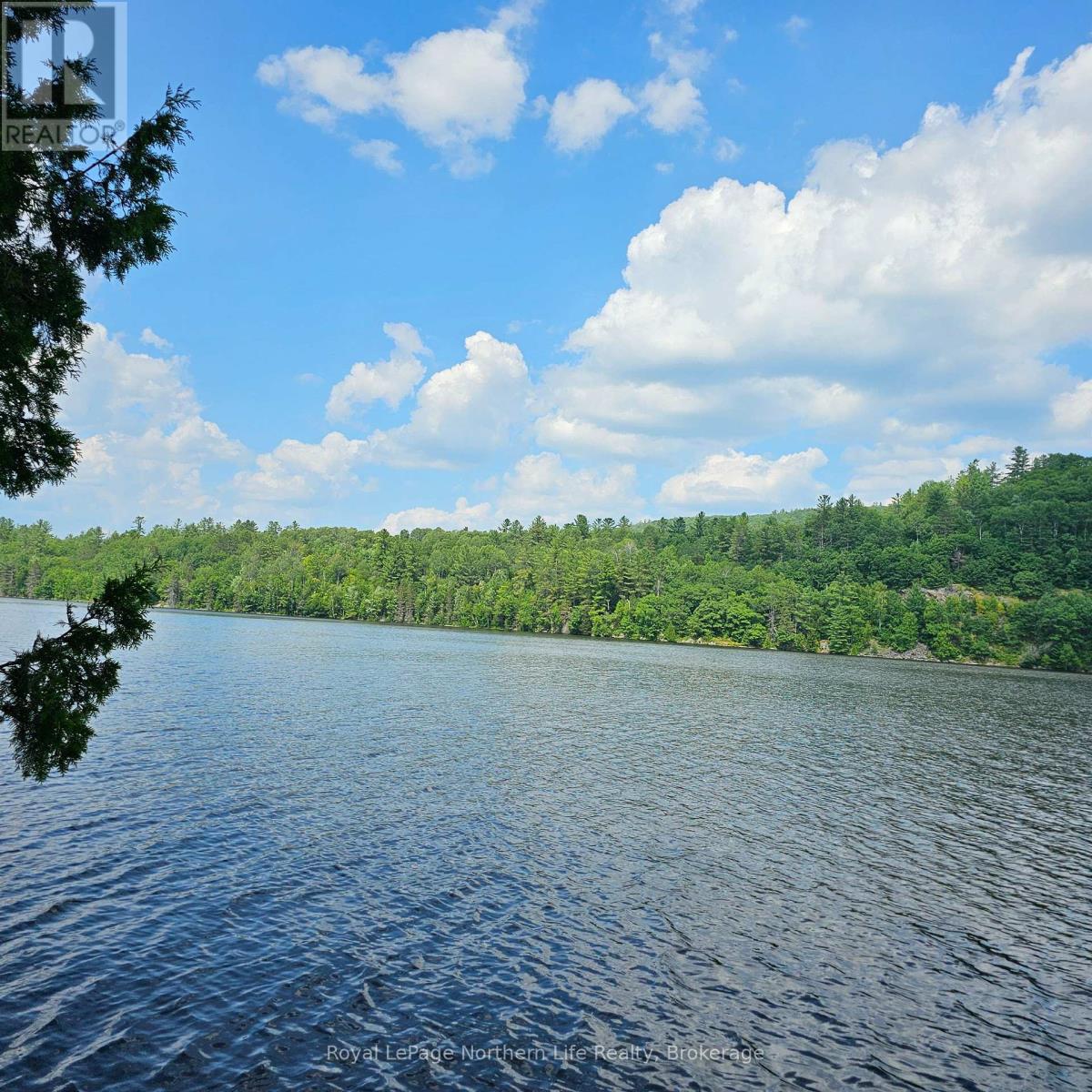 1251 SNAKE CREEK ROAD