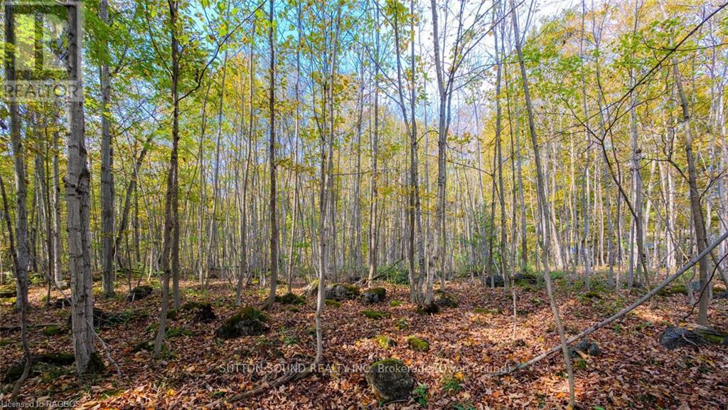 PT LT 25 CONC 16 GREY ROAD 17