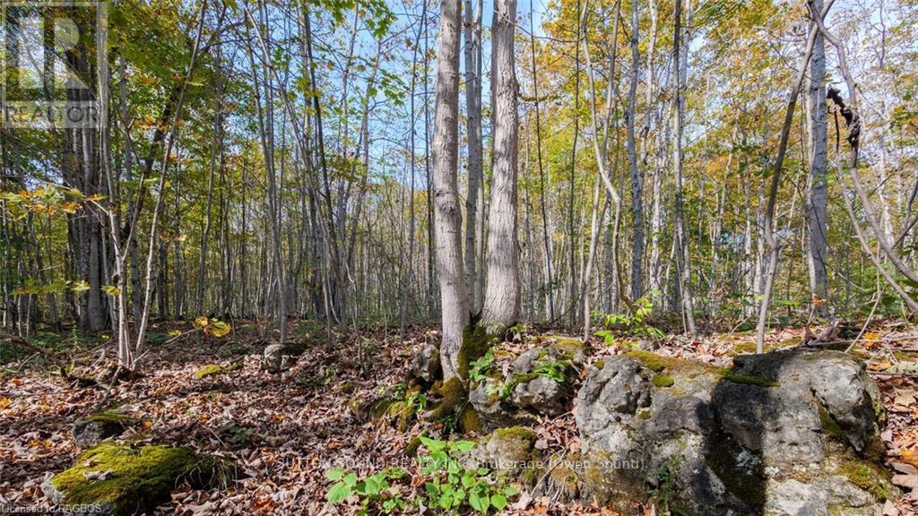 PT LT 25 CONC 16 GREY ROAD 17