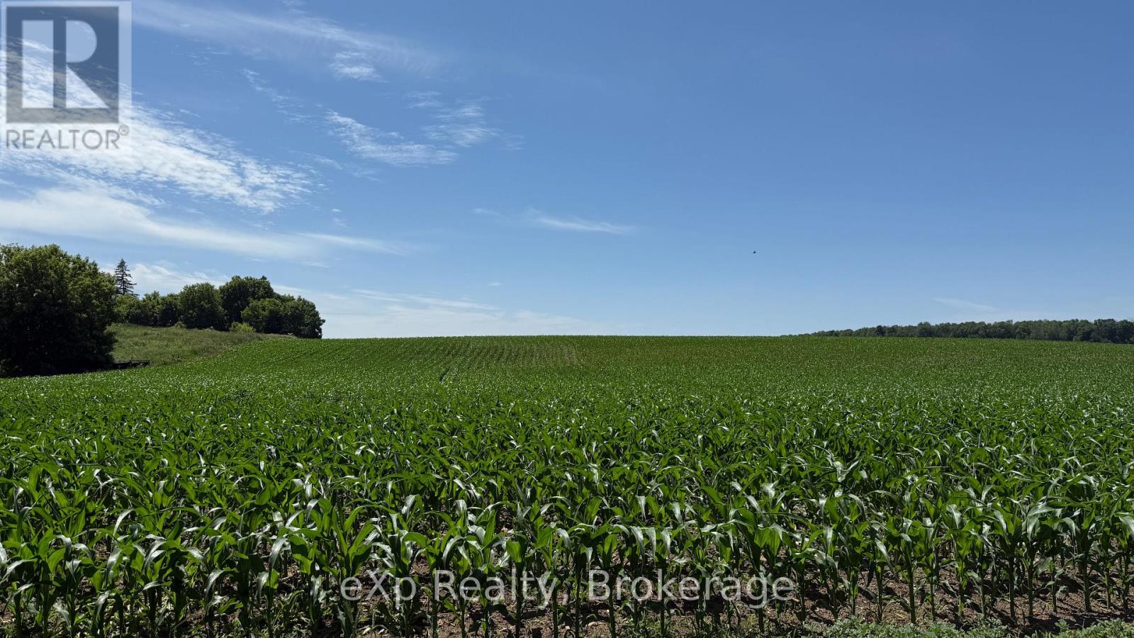 PT LT 24 CONCESSION A