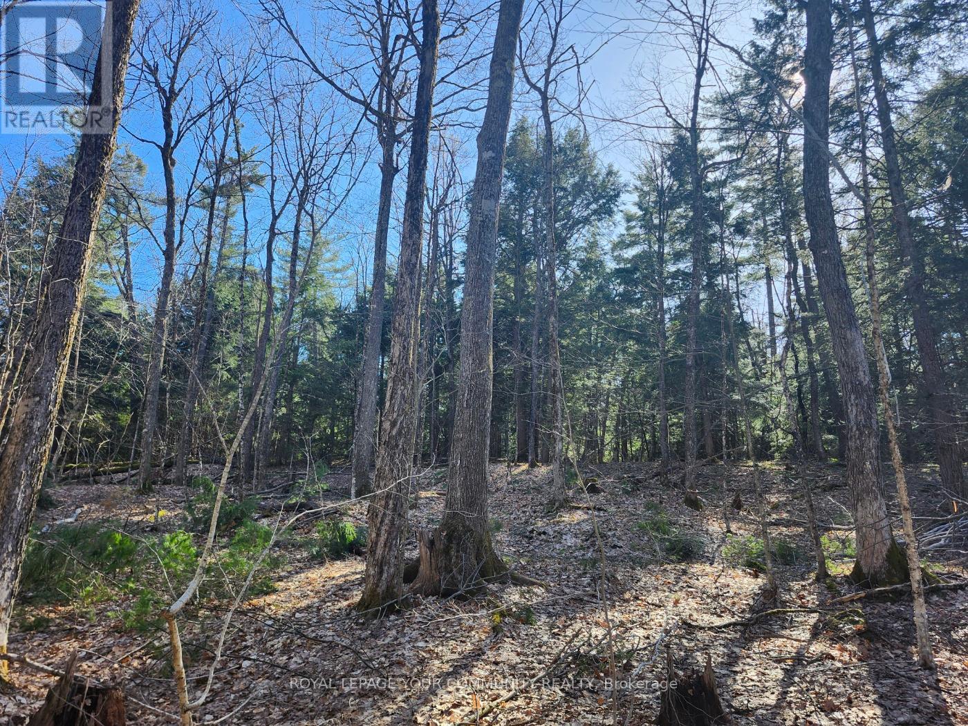 1282 HIGHWAY 118 ROAD E