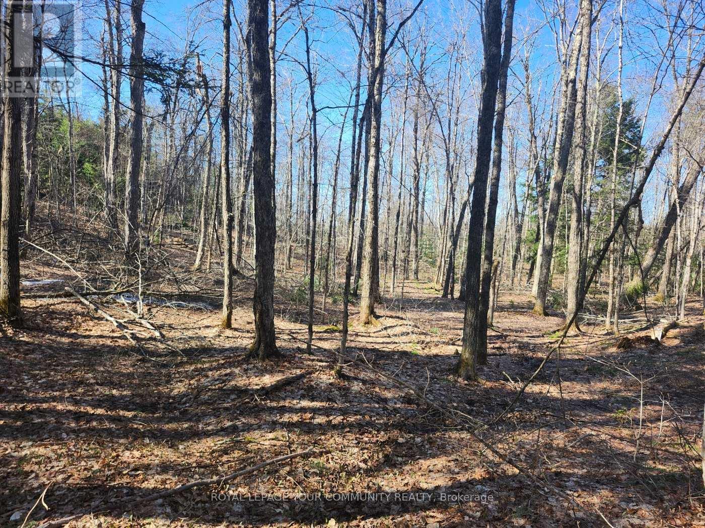 1282 HIGHWAY 118 ROAD E