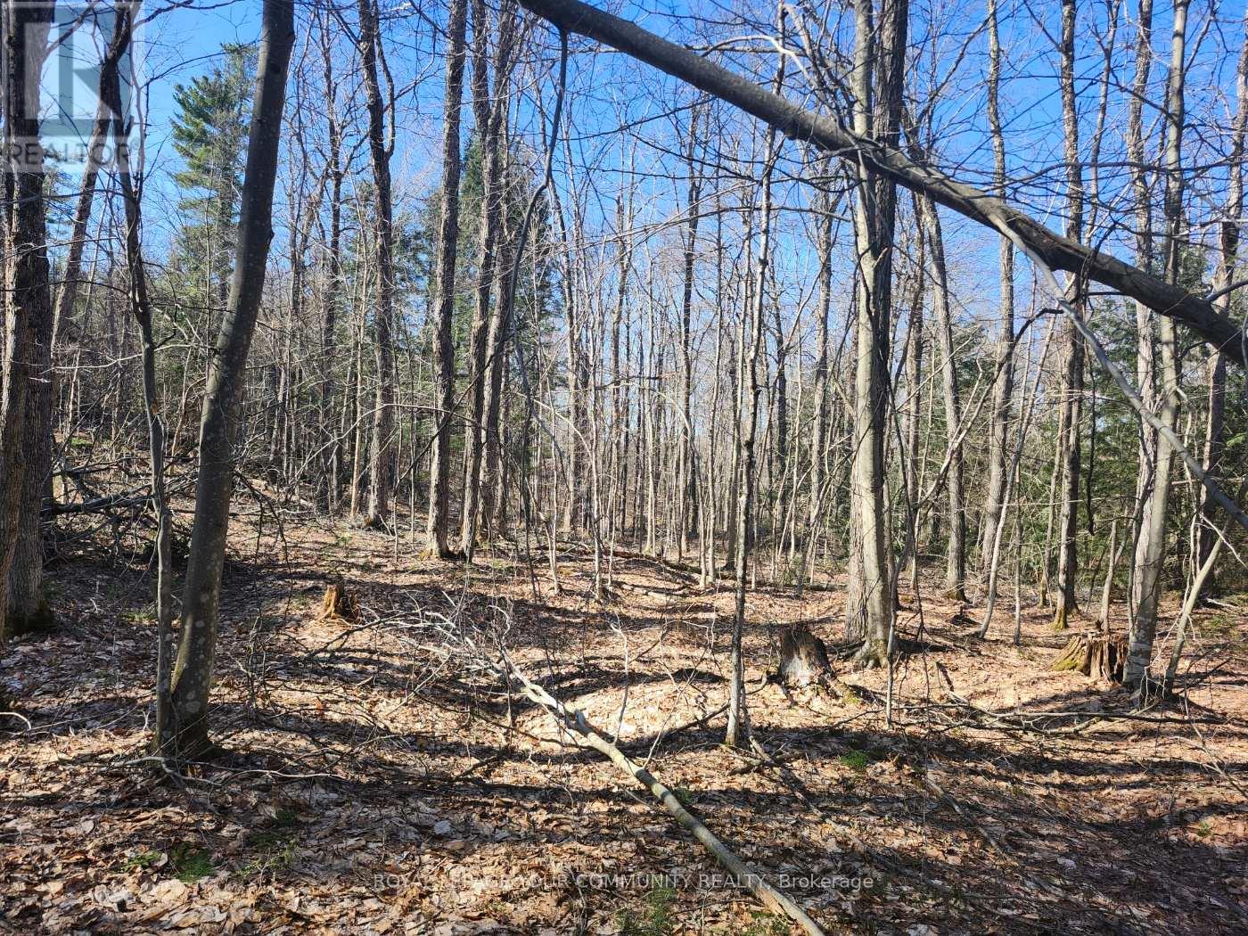 1282 HIGHWAY 118 ROAD E