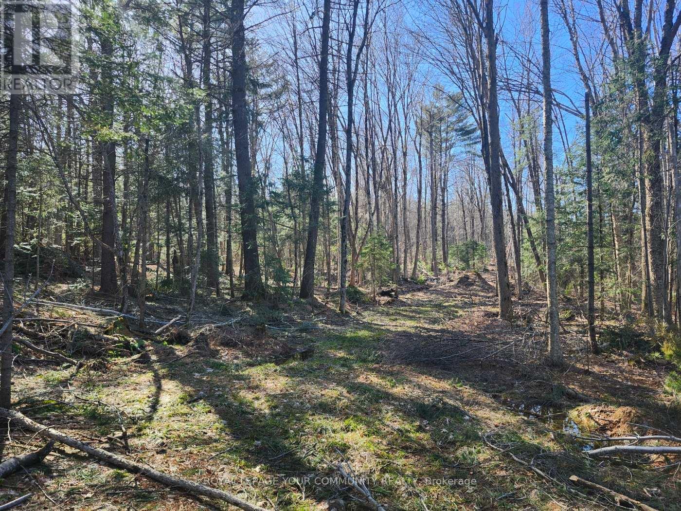 1282 HIGHWAY 118 ROAD E
