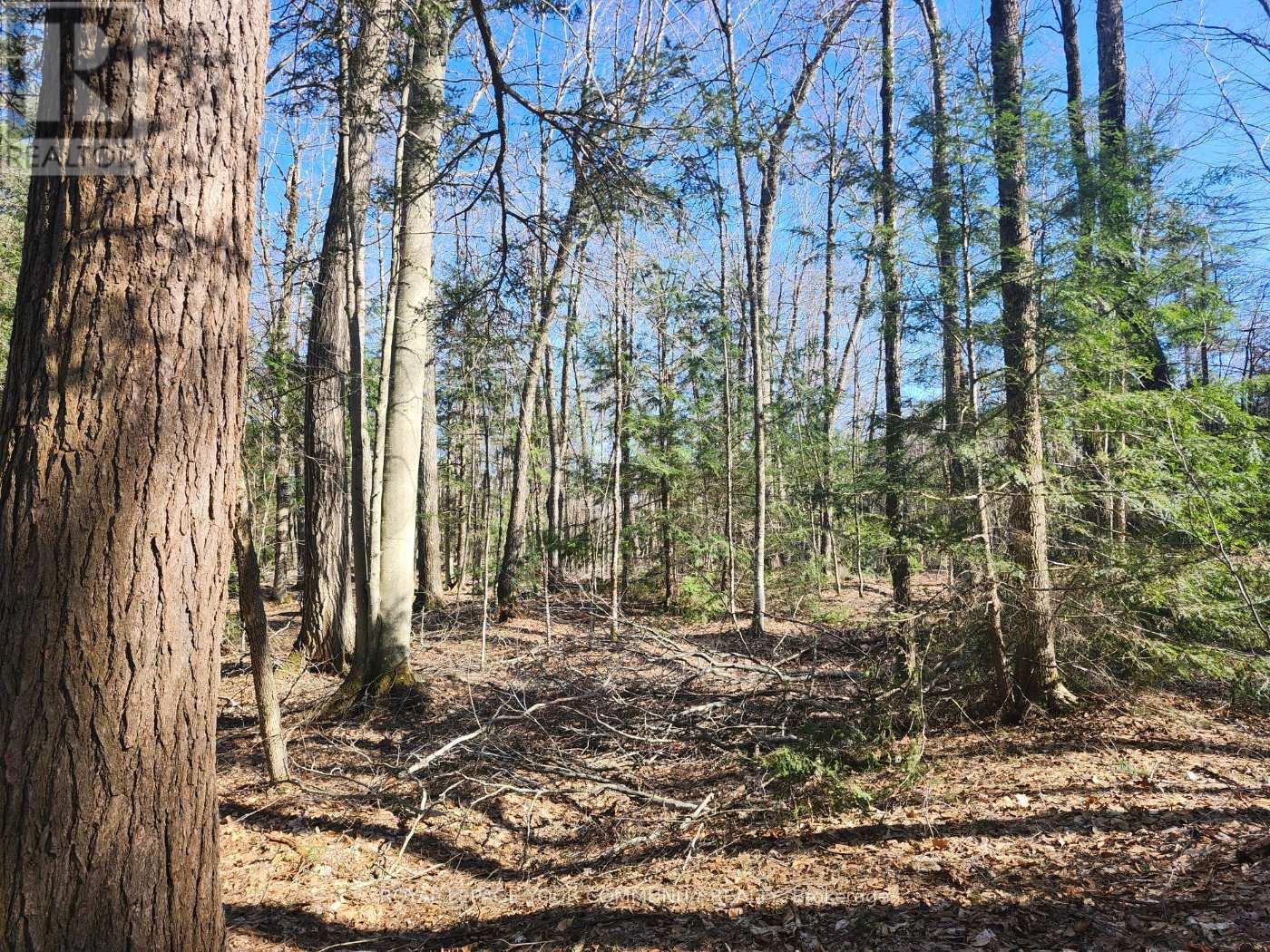 1282 HIGHWAY 118 ROAD E