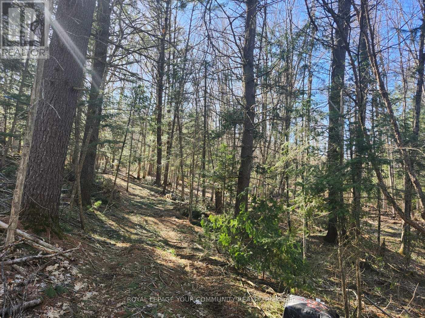 1282 HIGHWAY 118 ROAD E