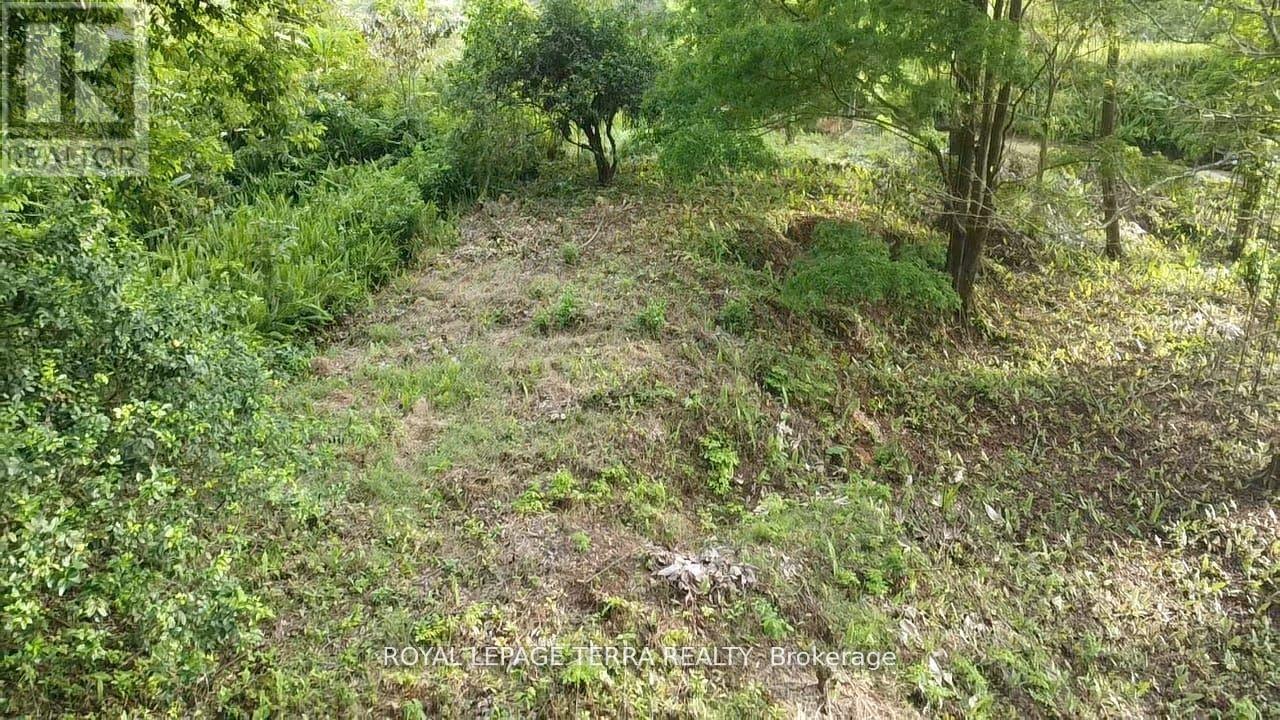 2 AVENIDA PRINCIPLE